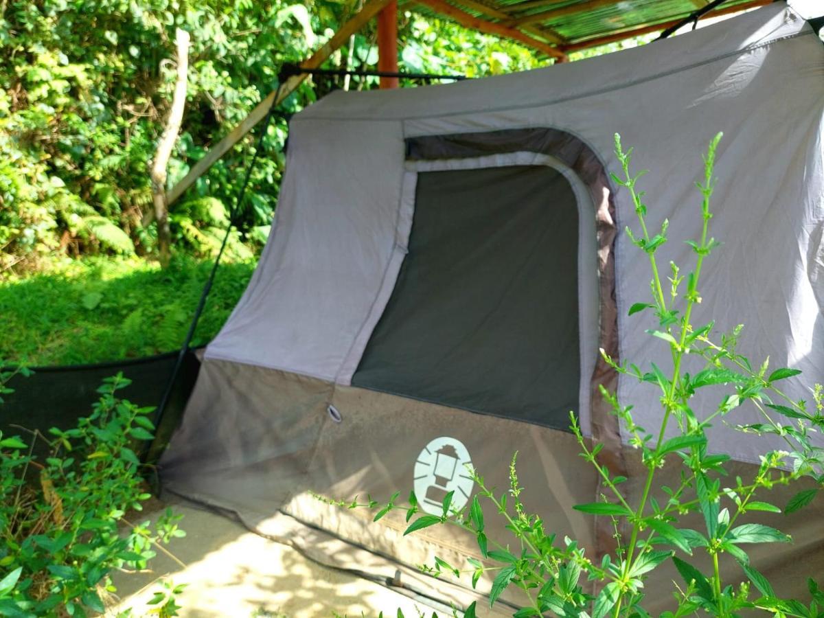 Rustico Arenal B&B La Fortuna 外观 照片